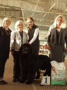 Превью фото № 165345