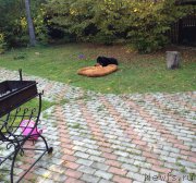 Превью фото № 165448