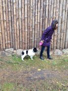 Превью фото № 165513