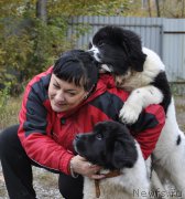 Превью фото № 165547