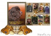 Превью фото № 165568