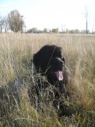 Превью фото № 165584