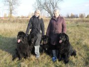 Превью фото № 165585