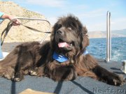 Превью фото № 165586