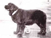 Превью фото № 165650