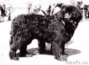 Превью фото № 165651