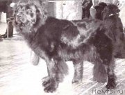 Превью фото № 165653