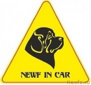 Превью фото № 165656