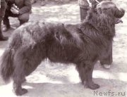 Превью фото № 165667