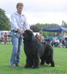 Превью фото № 16567