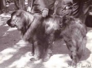 Превью фото № 165679