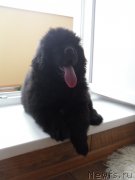 Превью фото № 165681