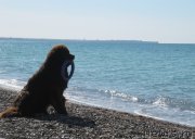 Превью фото № 165701