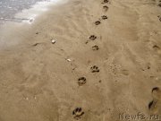 Превью фото № 165708