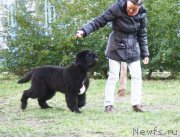 Превью фото № 165724