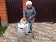 Превью фото № 165759