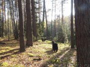 Превью фото № 165837