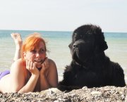 Превью фото № 165839