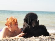 Превью фото № 165840