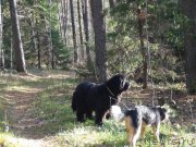 Превью фото № 165843