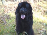 Превью фото № 165847