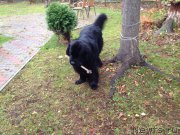 Превью фото № 165895