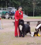 Превью фото № 16593