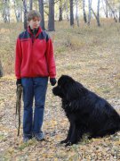 Превью фото № 166038