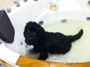 Превью фото № 166067