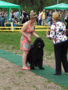 Превью фото № 166071