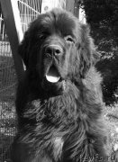 Превью фото № 166129