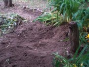 Превью фото № 166135