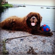 Превью фото № 166136