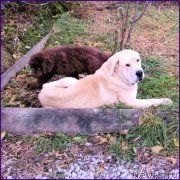 Превью фото № 166143