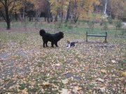 Превью фото № 166157