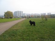 Превью фото № 166158