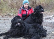 Превью фото № 166175