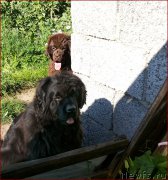 Превью фото № 166190