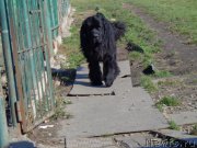 Превью фото № 166257