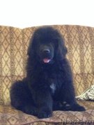 Превью фото № 166299