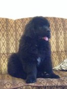 Превью фото № 166300