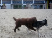 Превью фото № 166319