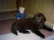 Превью фото № 166321