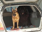 Превью фото № 166345