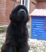 Превью фото № 166366