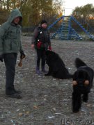 Превью фото № 166379