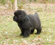 Превью фото № 166402