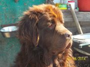 Превью фото № 166403