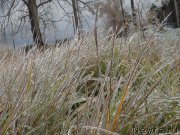 Превью фото № 166423