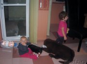 Превью фото № 166432